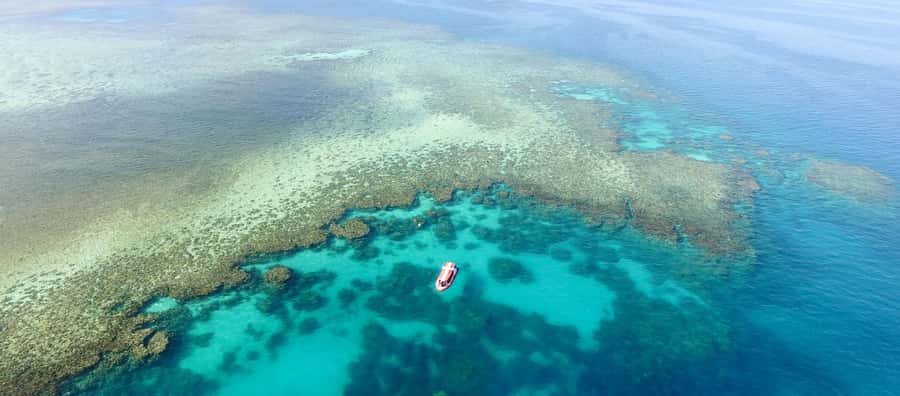 Port Douglas: Half Day Outer Reef Snorkelling Tour - The speed boat ride on the Reef Sprinter: fun with practical limits