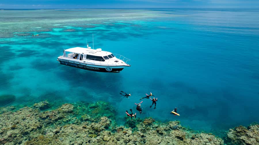 Port Douglas: Just 12 Passengers Guided Snorkel Reef Cruise - A small-group reef cruise that keeps your attention on the water