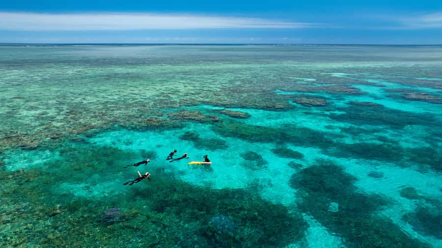Port Douglas: Just 12 Passengers Guided Snorkel Reef Cruise - Morning logistics: where you start and what happens before you go in