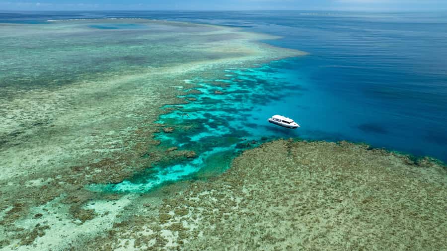 Port Douglas: Just 12 Passengers Guided Snorkel Reef Cruise - Gear that fits: prescription masks, wetsuits, and Lycra in the right season