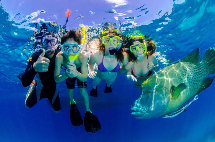 Port Douglas: Just 12 Passengers Guided Snorkel Reef Cruise - Food and drinks: what’s included and what you’ll want to plan for