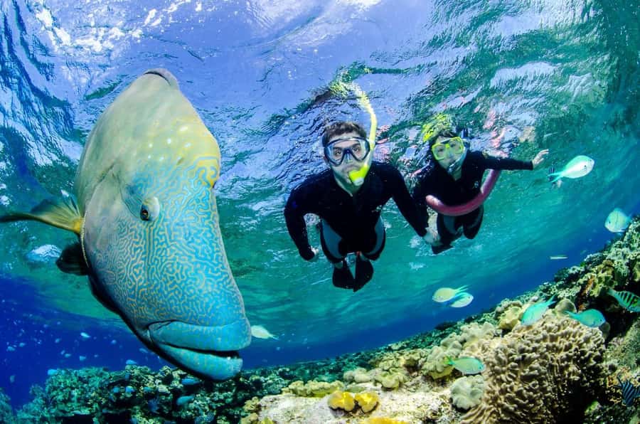 Port Douglas: Just 12 Passengers Guided Snorkel Reef Cruise - The ride out and back: when the reef is worth the bumpy bits