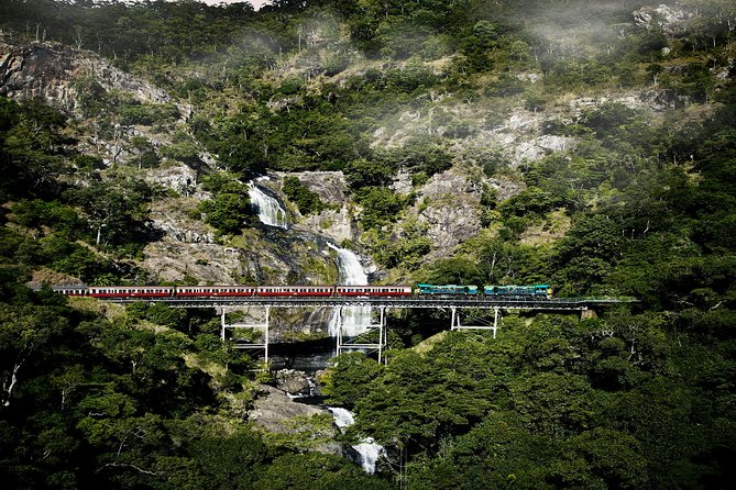 Port Douglas: Kuranda tour with Skyrail or Scenic Train - Skyrail Rainforest Cableway: your 90 minutes above the canopy