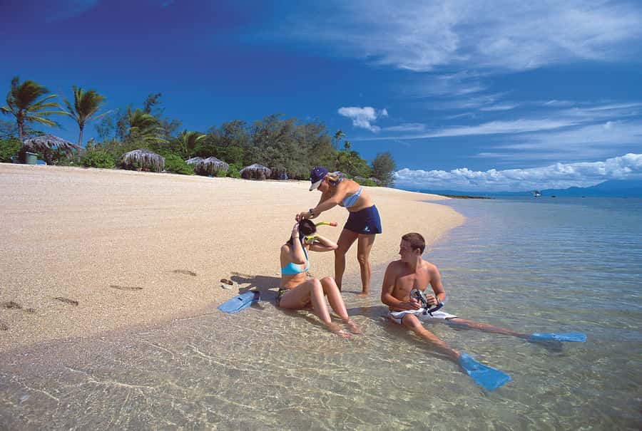Port Douglas: Low Isles Afternoon Cruise on Luxury Catamaran - Glass-Bottom Boat and Reef Interpretation: A Smart Plan B