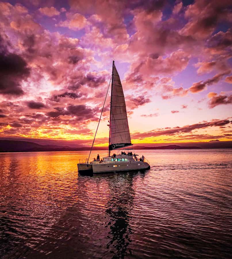 Port Douglas: Low Isles Afternoon Cruise on Luxury Catamaran - Afternoon Tea, Canapés, and Drinks: Reef Day Hospitality
