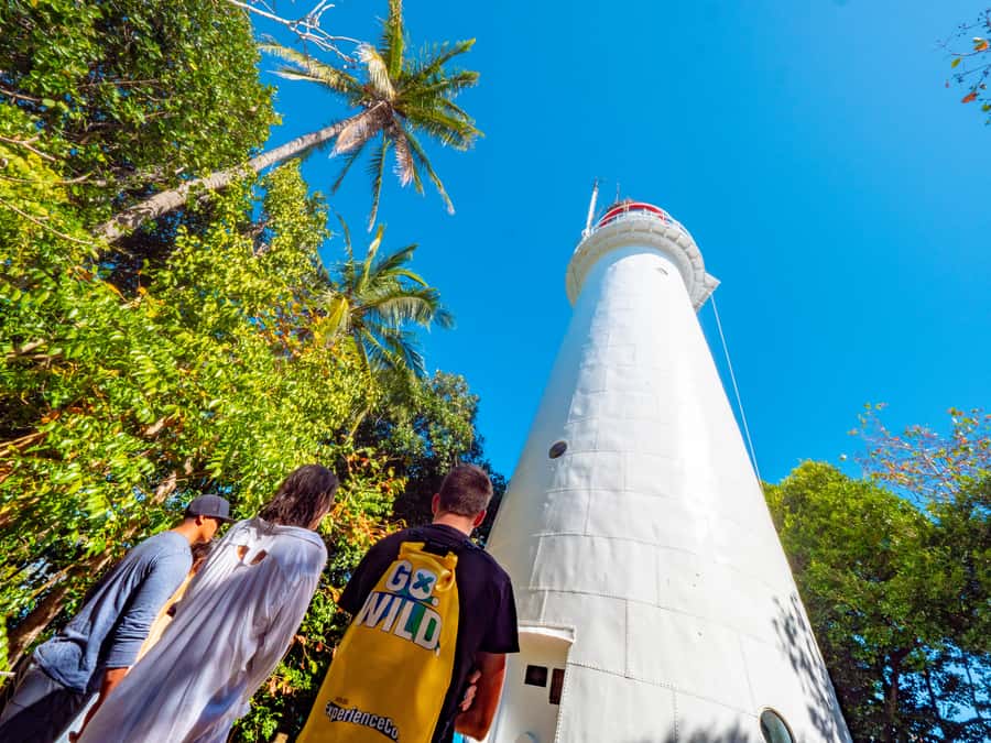 Port Douglas: Low Isles Glass Bottom Boat & Snorkeling Tour - Should you book the Low Isles Glass Bottom Boat & Snorkeling Tour?