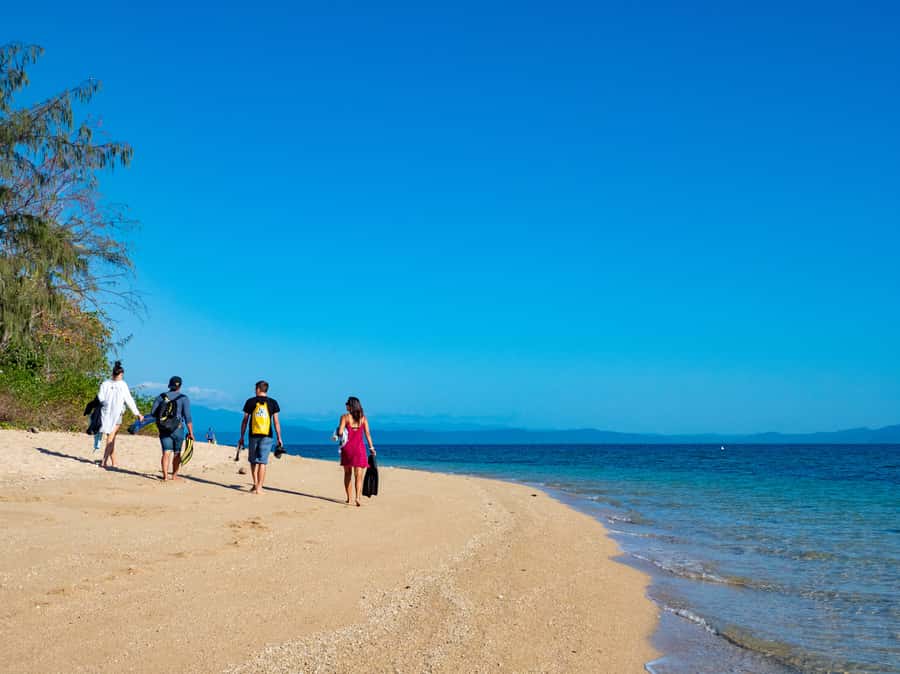 Port Douglas: Low Isles Glass Bottom Boat & Snorkeling Tour - From Crystalbrook Marina to Low Isles: fast transfer, real reef time