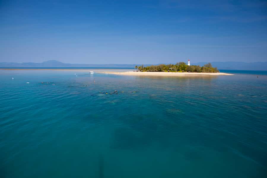 Port Douglas: Low Isles Glass Bottom Boat & Snorkeling Tour - Snorkeling the Low Isles lagoon: guided, comfortable, and built for spotting turtles