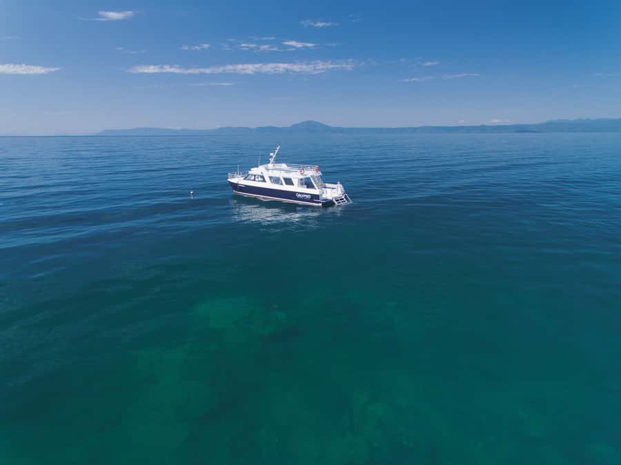 Port Douglas: Low Isles Glass Bottom Boat & Snorkeling Tour - Who should book (and who should skip) this Low Isles snorkel-and-island combo