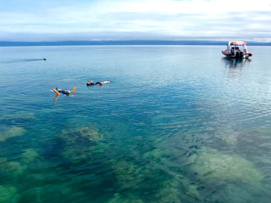 Port Douglas: Low Isles Reef Snorkeling Tour - Timing and meeting point: Crystalbrook Marina, check in early