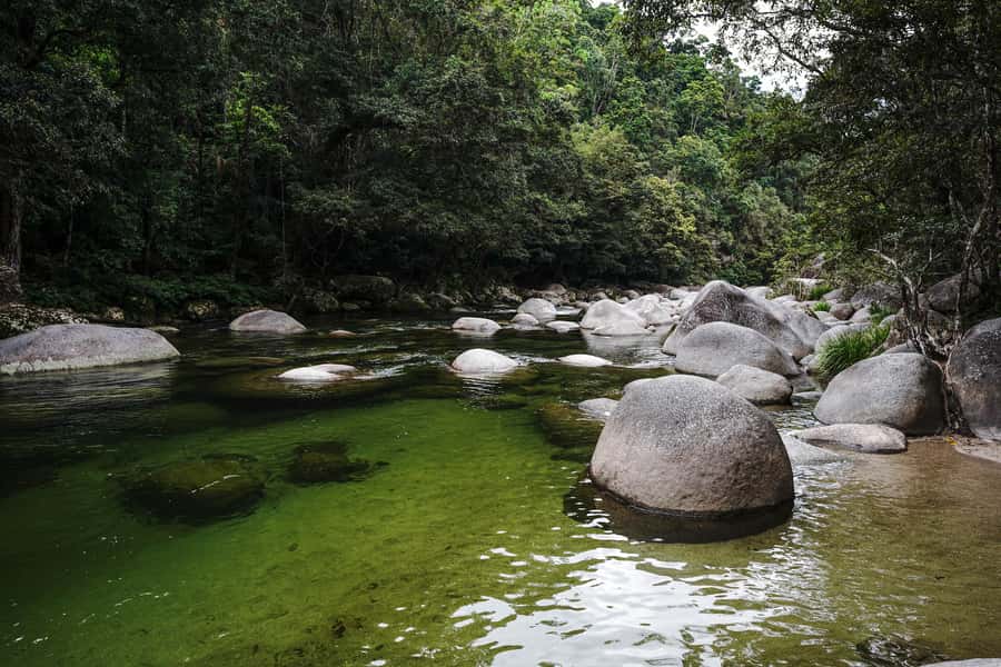 Port Douglas: Morning Daintree Tour w/ Wildlife Cruise - Key Things I’d Prioritize on This Tour