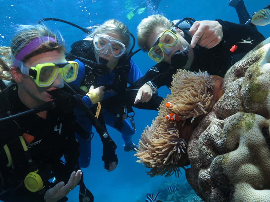 Port Douglas: Outer Barrier Reef Cruise & 10 Min Helicopter - Practical tips to make the day smoother