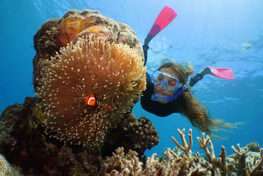 Port Douglas: Outer Barrier Reef Cruise & 10 Min Helicopter - Should you book Quicksilver’s Outer Reef cruise with helicopter?