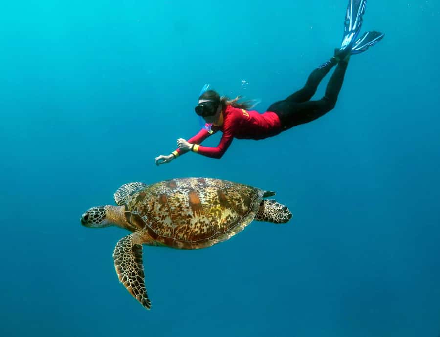 Port Douglas: Outer Barrier Reef Cruise & 10 Min Helicopter - The 3.5-hour Agincourt Reef stop: snorkel time that’s actually structured