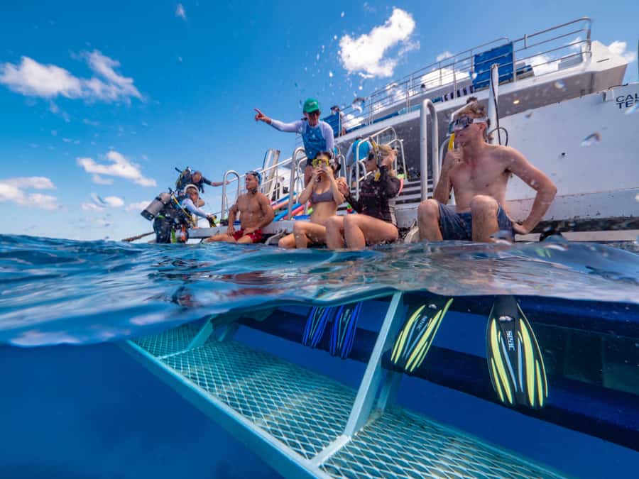 Port Douglas: Outer Barrier Reef Snorkel and Dive Options - Gear and Comfort: Mask Fitting, Wetsuits, and Prescription Options