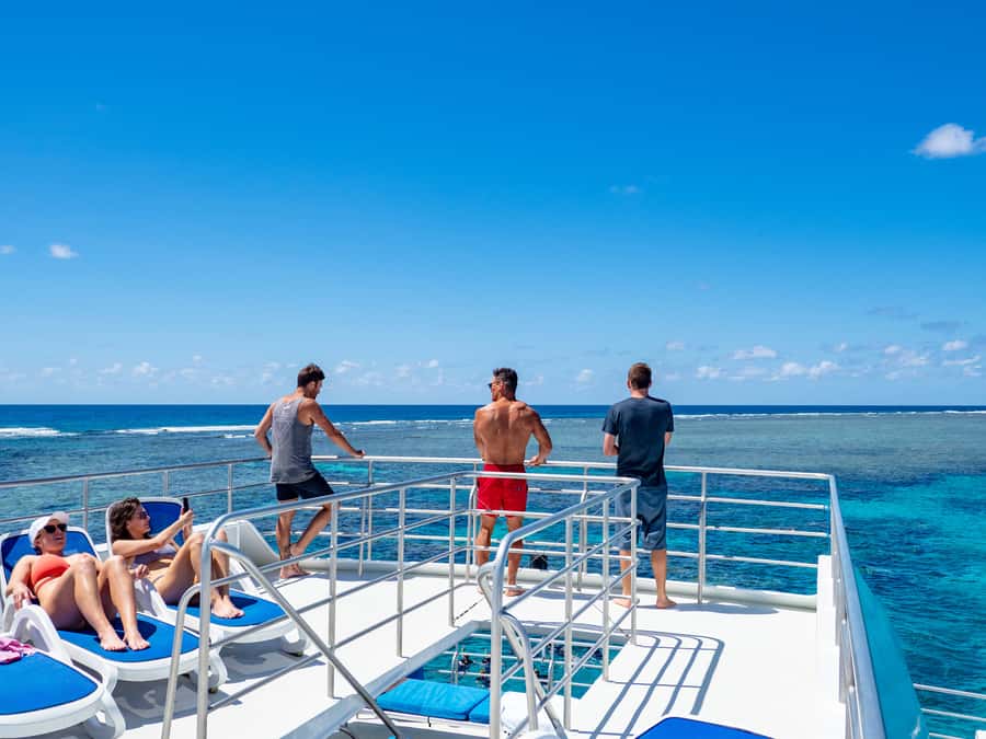 Port Douglas: Outer Barrier Reef Snorkel and Dive Options - Crew and Guided Help: When Confidence Clicks