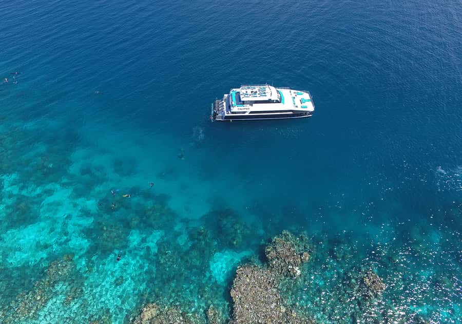 Port Douglas: Outer Barrier Reef Snorkel and Dive Options - Price and Value: Is $174 a Fair Deal for Three Outer Reef Stops?
