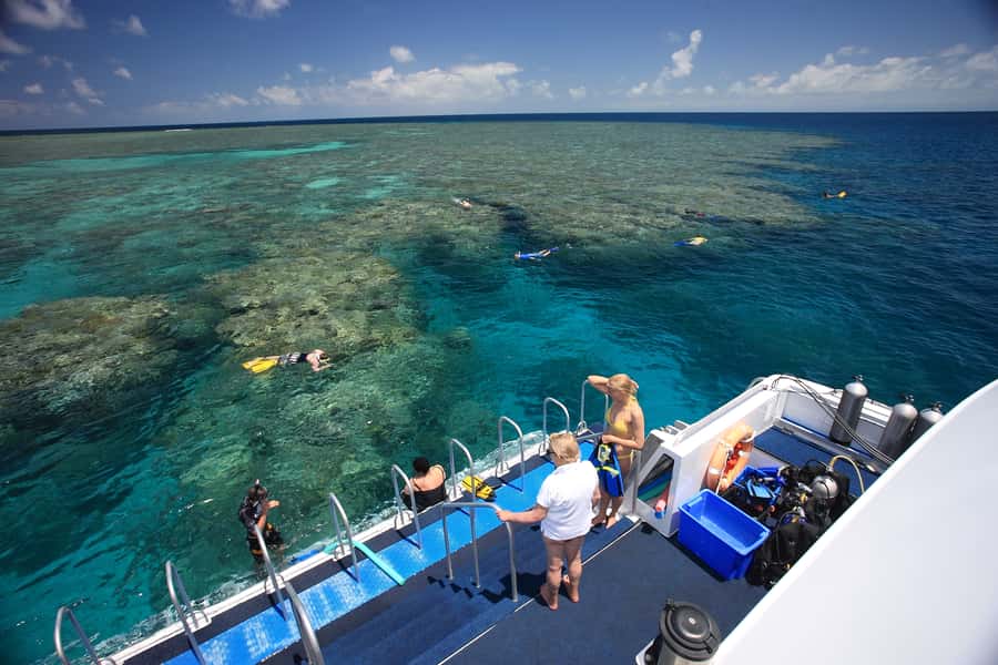 Port Douglas: Outer Barrier Reef Snorkel and Dive Options - Who This Tour Suits Best (and Who Should Rethink It)