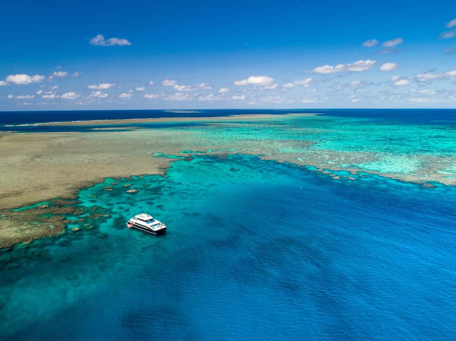 Port Douglas: Outer Barrier Reef Snorkel and Dive Options - The Catamaran Ride (About 1.5 Hours) and Why Deck Space Matters
