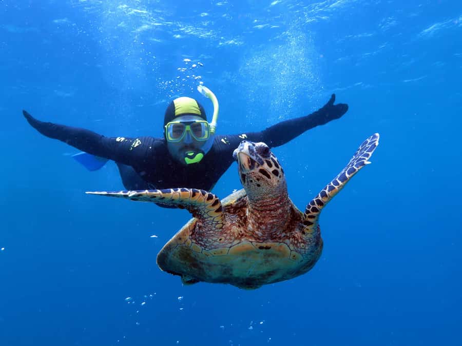 Port Douglas: Poseidon Outer Barrier Reef Dive and Snorkel - How the day starts on the Poseidon catamaran