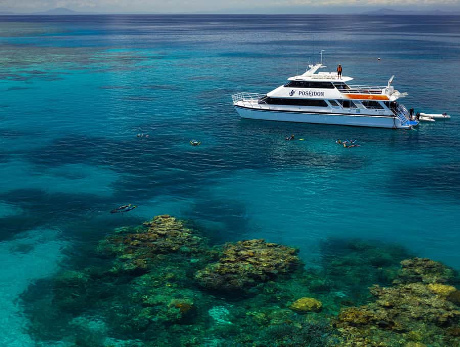 Port Douglas: Poseidon Outer Barrier Reef Dive and Snorkel - Who should book Poseidon, and who might want a different option