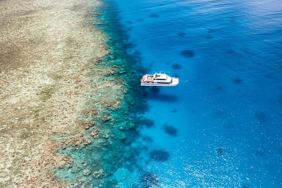 Port Douglas: Poseidon Outer Barrier Reef Dive and Snorkel - Cruise to Agincourt Ribbon Reefs: why these sites work