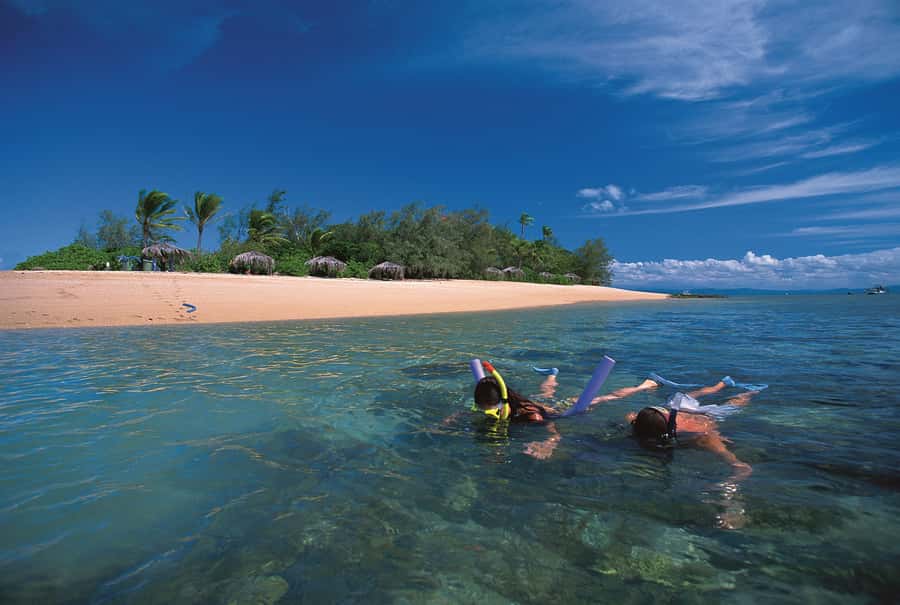 Port Douglas: Reef & Low Isles Cruise on Luxury Catamaran - Key things that make this Low Isles cruise worth it