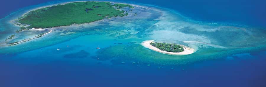 Port Douglas: Reef & Low Isles Cruise on Luxury Catamaran - Alfresco lunch, fruit platters, and tea breaks that actually help