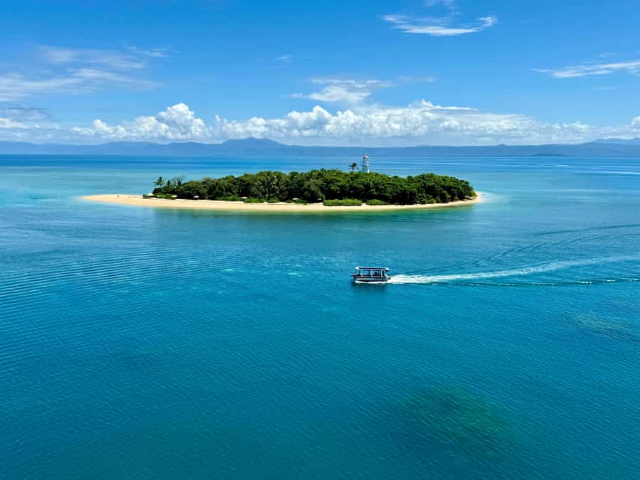 Port Douglas: Reef & Low Isles Cruise on Luxury Catamaran - Sailing back to Port Douglas: wrapping up without feeling rushed
