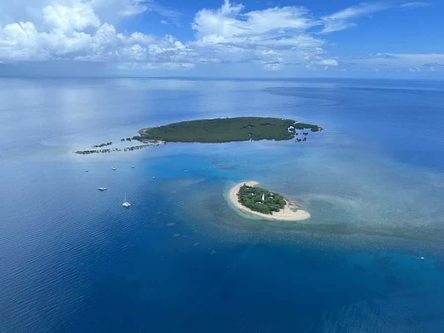 Port Douglas: Reef & Low Isles Cruise on Luxury Catamaran - Price and value: is $240 per person a fair deal?