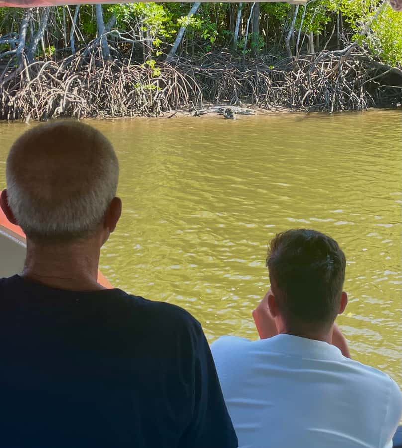 Port Douglas: River Cruise, Crocodile Spotting, Drink/ Snack - Should You Book the Lady Douglas River Cruise?