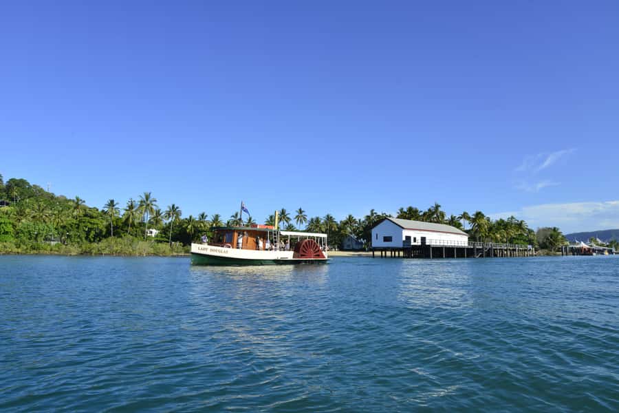 Port Douglas: River Cruise, Crocodile Spotting, Drink/ Snack - Crocodile Spotting: How to Make the Most of Your Scan Time