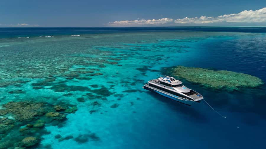 Port Douglas: Silversonic Great Barrier Reef Dive & Snorkel - The 8-Hour Flow: What the Day Looks Like From Check-In to Reef Time