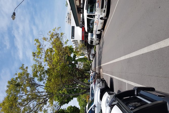 Port Douglas Sunday Markets Day Tour - Timing hiccups to plan around (and how to avoid stress)