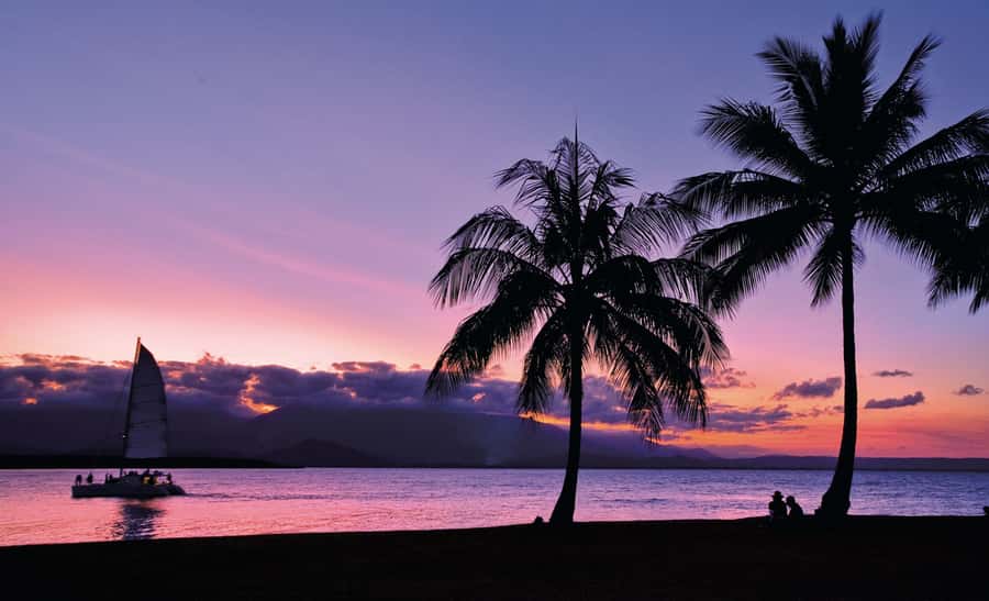 Port Douglas: Sunset Sailing Cruise on Luxury Catamaran - Who Should Book This Cruise (and Who Should Skip It)