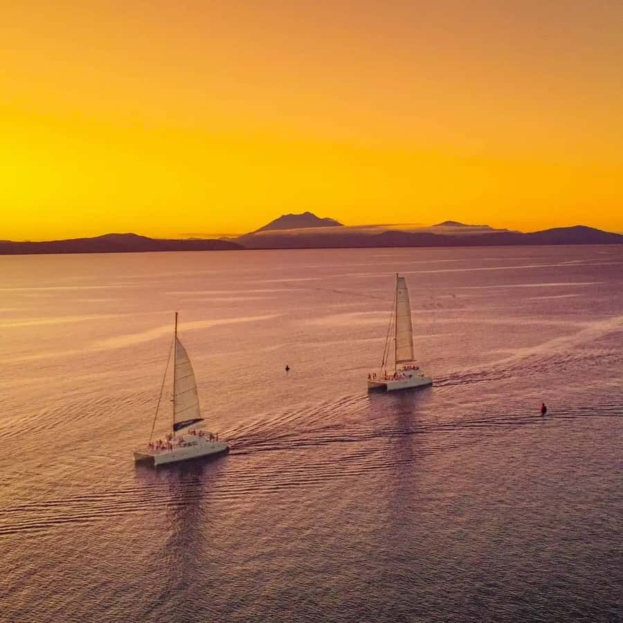 Port Douglas: Sunset Sailing Cruise on Luxury Catamaran - Weather Reality in the Tropics: Wind, Spray, and Wet Season Timing