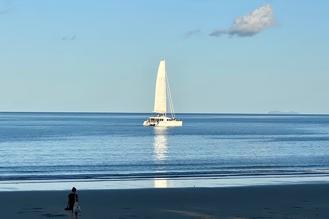 Port Douglas To Cairns Airport Shared Shuttle - The Cairns Airport Drop-Off: T2 Domestic Terminal Made Simple