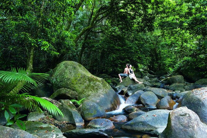 Port Douglas to Cairns ONE WAY Private Transfer 6 pax - The Value: $208 Per Group Up To 6
