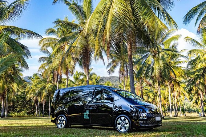 Port Douglas to Cairns ONE WAY Private Transfer 6 pax - Your Ride: Air-Con Comfort and a “Local Brain” in the Driver Seat