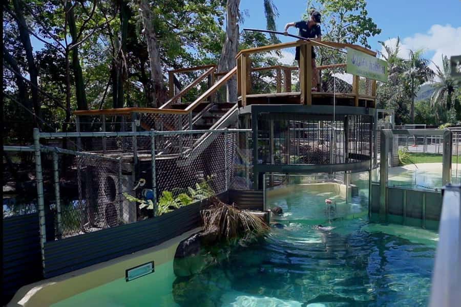 Port Douglas: Wildlife Habitat Swim with Crocodiles - What $106 buys you (and why it can be worth it)