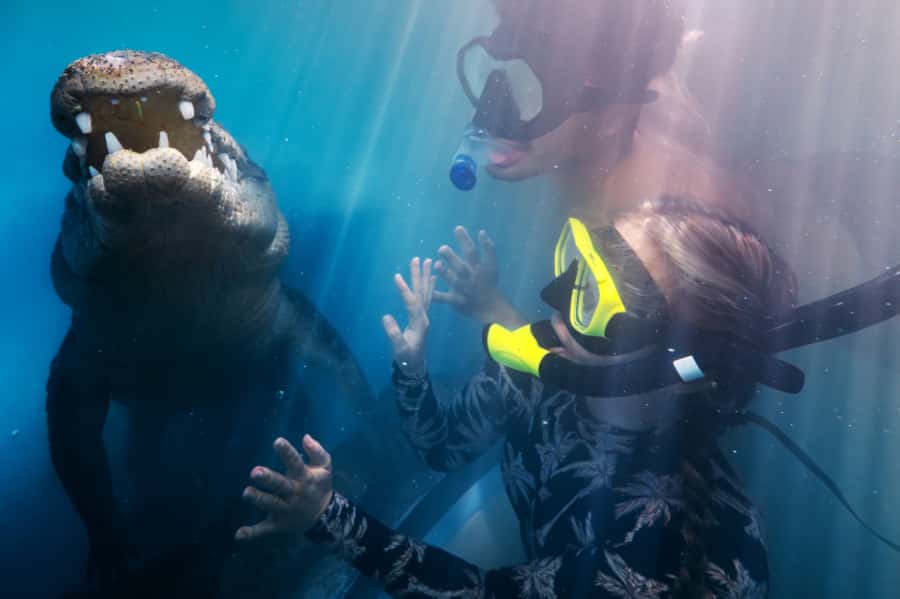 Port Douglas: Wildlife Habitat Swim with Crocodiles - Getting set up: changing room to snorkel and mask