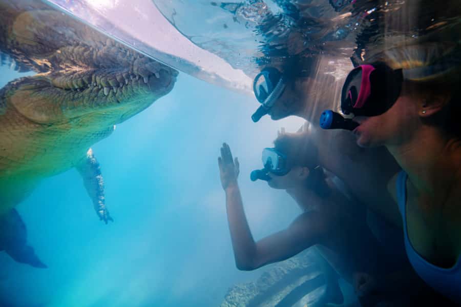 Port Douglas: Wildlife Habitat Swim with Crocodiles - After the swim: 5 habitats and calmer wildlife viewing