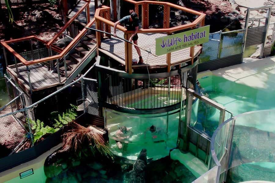 Port Douglas: Wildlife Habitat Swim with Crocodiles - Safety briefing: quick, serious, and part of the deal
