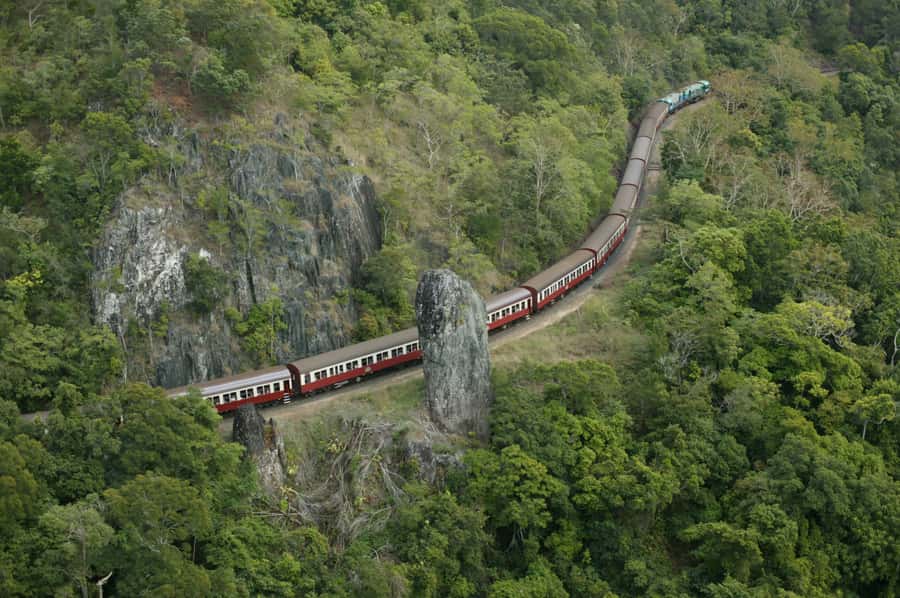 Port Douglas: World Heritage Forest by Skyrail & Scenic Rail - Port Douglas to Kuranda: a smart way to see the rainforest from above and below