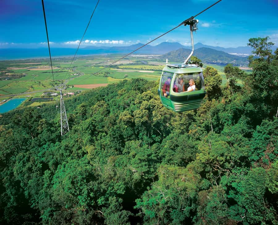 Port Douglas: World Heritage Forest by Skyrail & Scenic Rail - Kuranda Village in the Rainforest: using your free time well