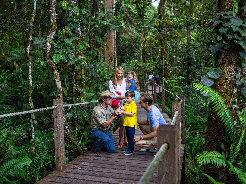 Port Douglas: World Heritage Forest by Skyrail & Scenic Rail - Timing and comfort: a long day that needs a little strategy