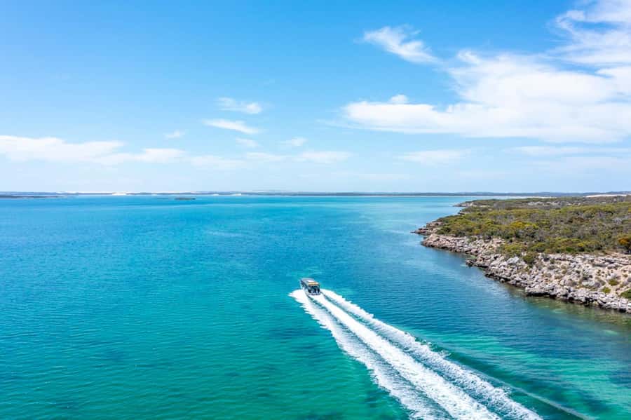 Port Lincoln: Coffin Bay Seafood, Wine, and Nature Day Trip - Price and value: what $183 really covers