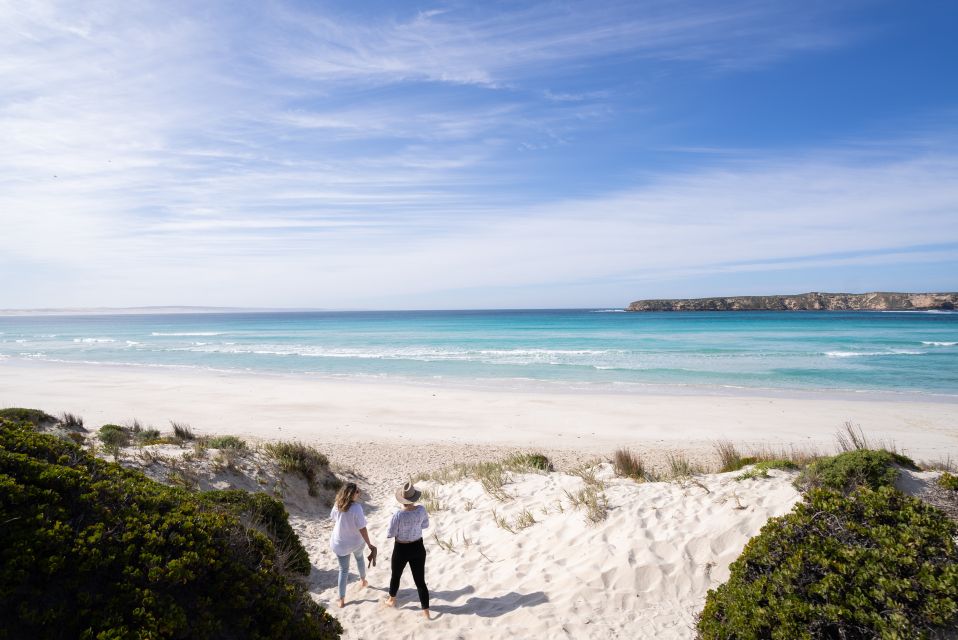 Port Lincoln: Coffin Bay Seafood, Wine, and Nature Day Trip - Tour pace, group size, and the weather reality