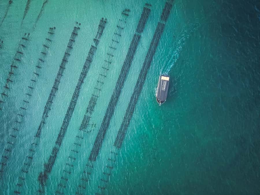 Port Lincoln: Coffin Bay Seafood, Wine, and Nature Day Trip - Choosing your oyster day: Short & Sweet or the 3-hour upgrade