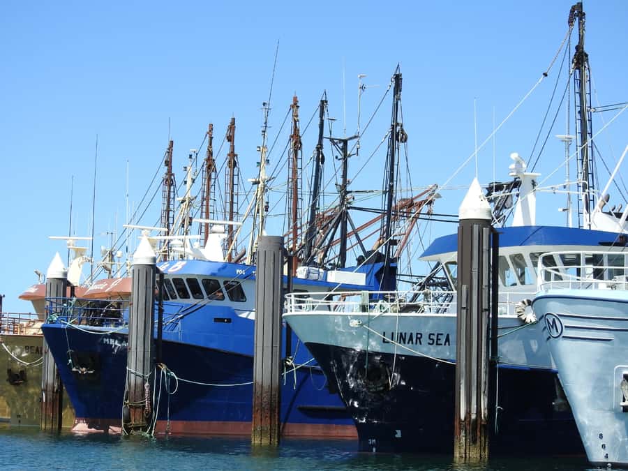 Port Lincoln Day Tour: Eyre Peninsula - Entering the Eyre Peninsula loop from Port Lincoln